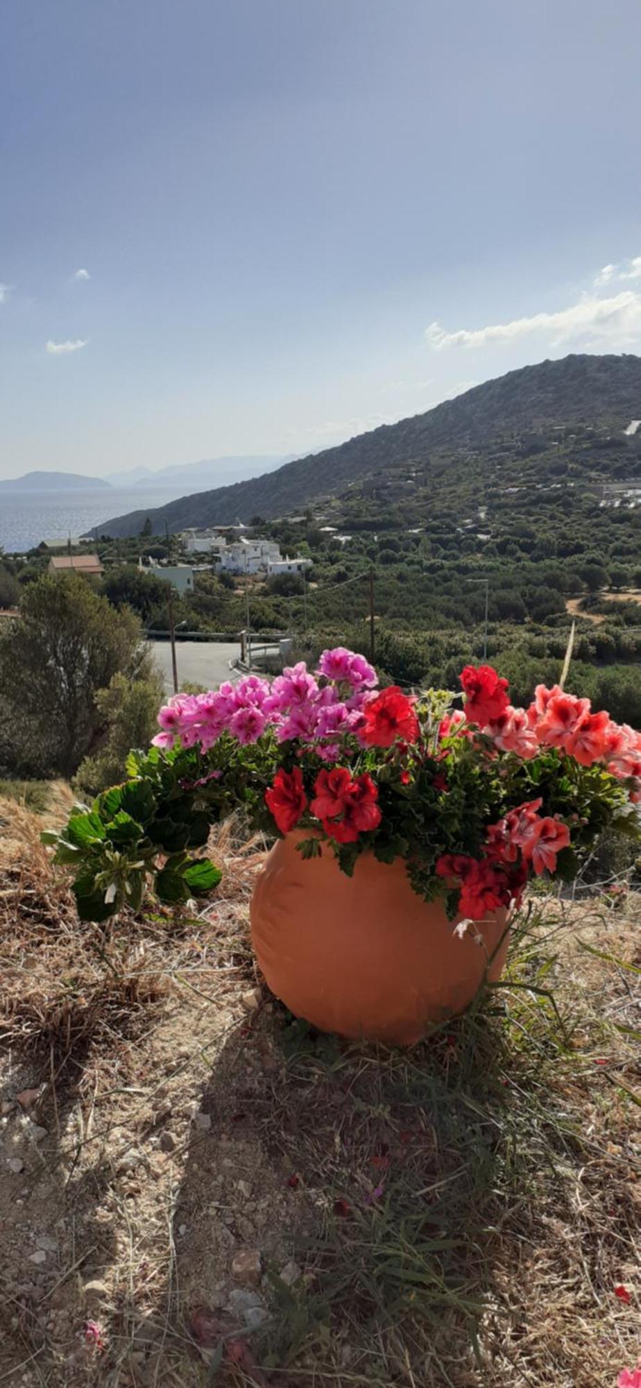 Hari Apartments Vathi, Agios Nikolaos Crete Eksteriør billede