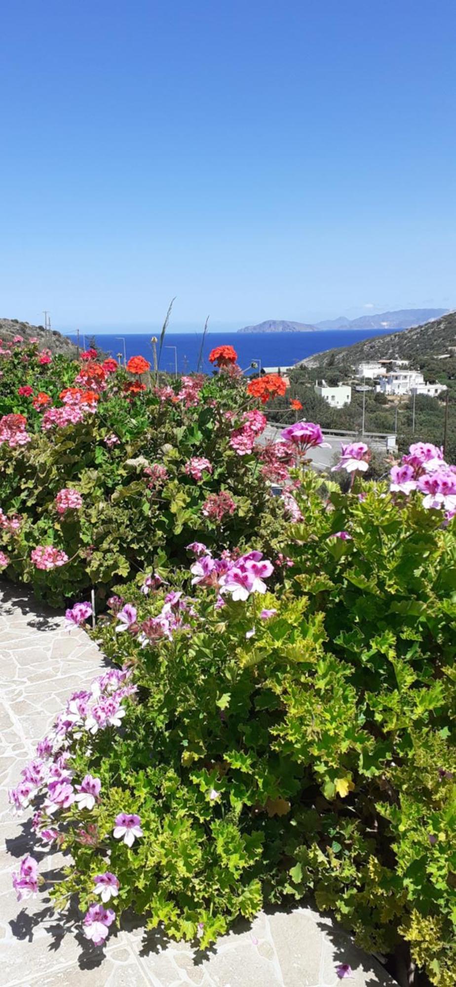 Hari Apartments Vathi, Agios Nikolaos Crete Eksteriør billede