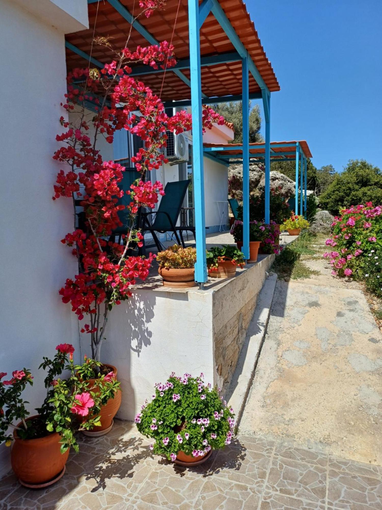 Hari Apartments Vathi, Agios Nikolaos Crete Eksteriør billede